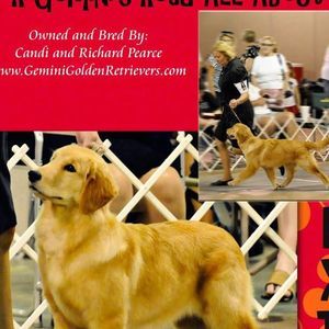 Meet your Posher, Candi